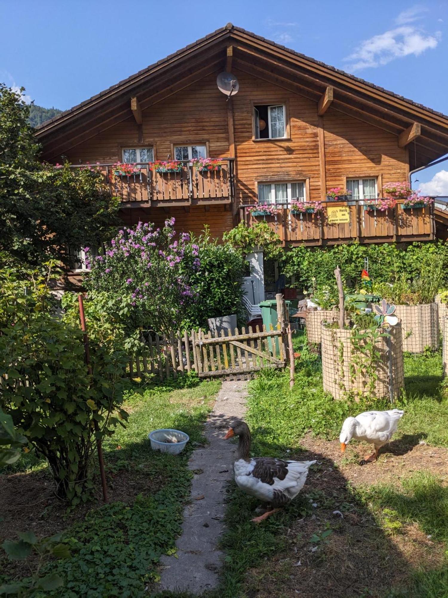 Bed And Breakfast - Die Aelplersuit Fuer Backpackers Im Berghuesli Linthal Exterior foto